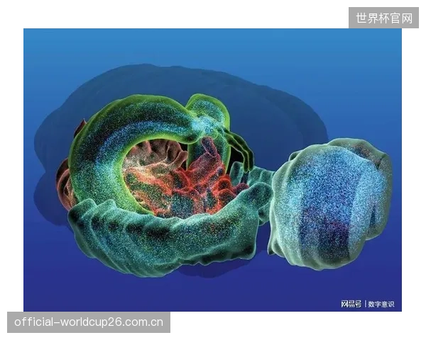 如果高精扫描和量子对齐成为可能，顶级赛事中普遍存在的“主场优势”是否依然源于未能校准的数据细节？